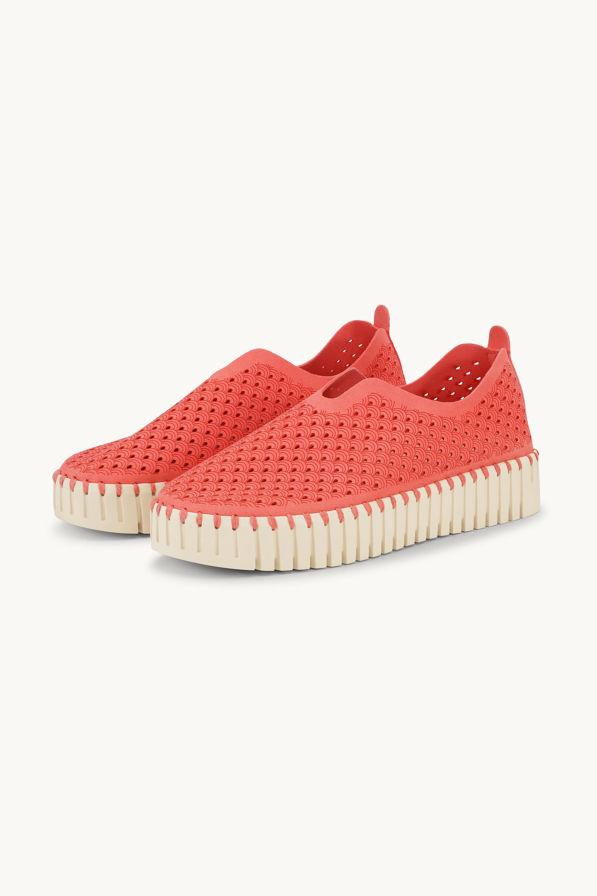 Platform Tulip Sko - Raspberry
