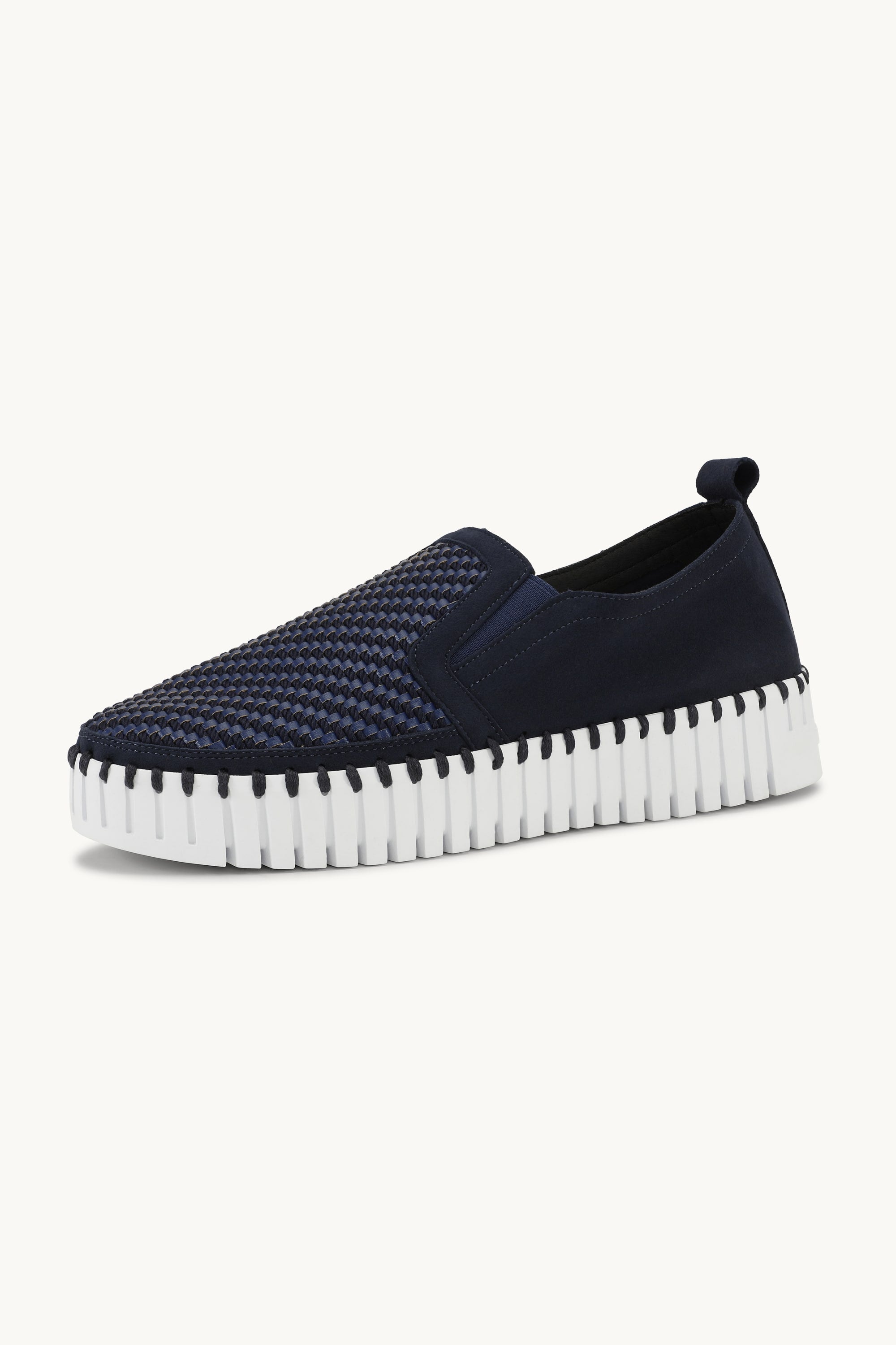 Tulip Platåsko - Dark Indigo White