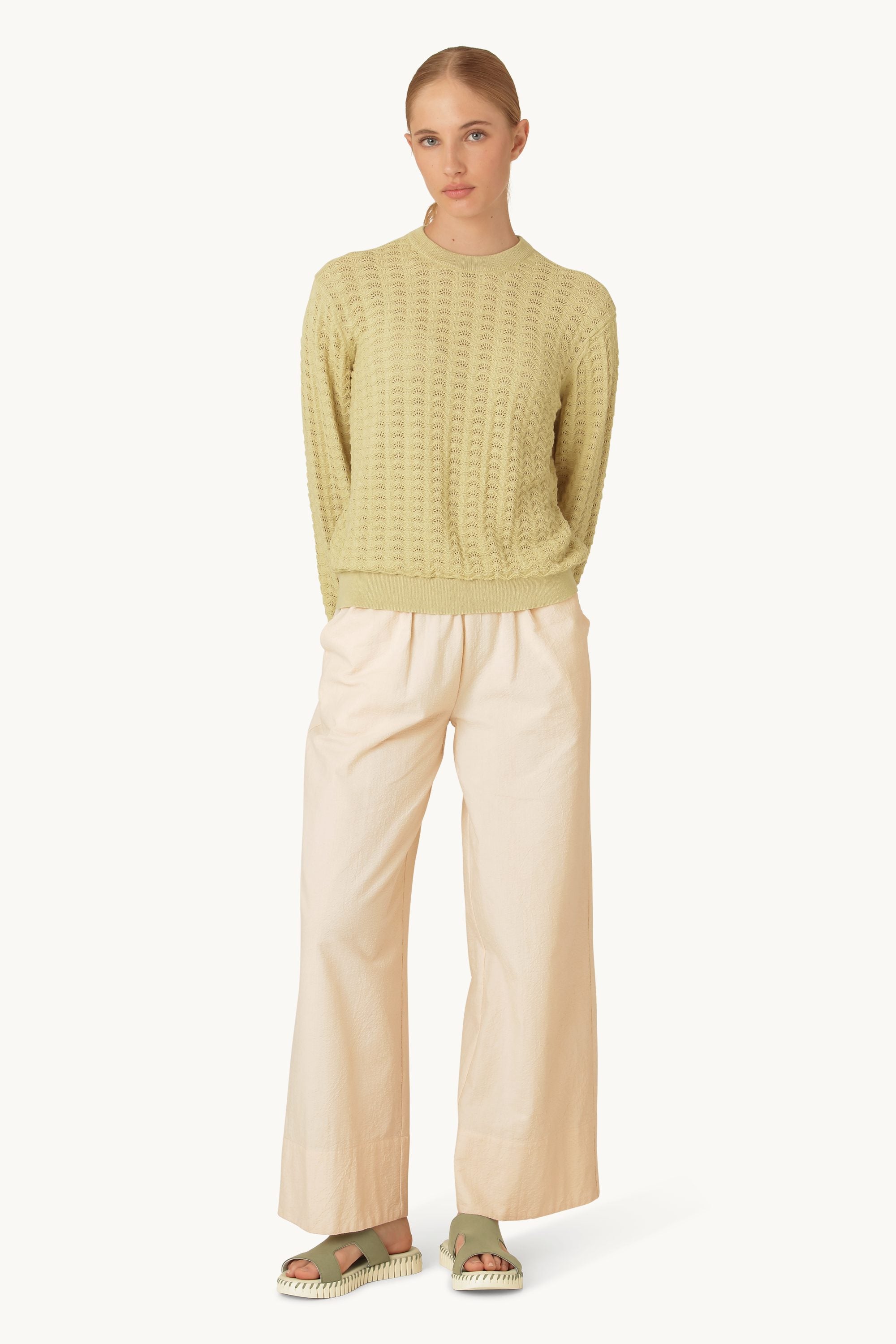 Crew Neck - Olive Grass