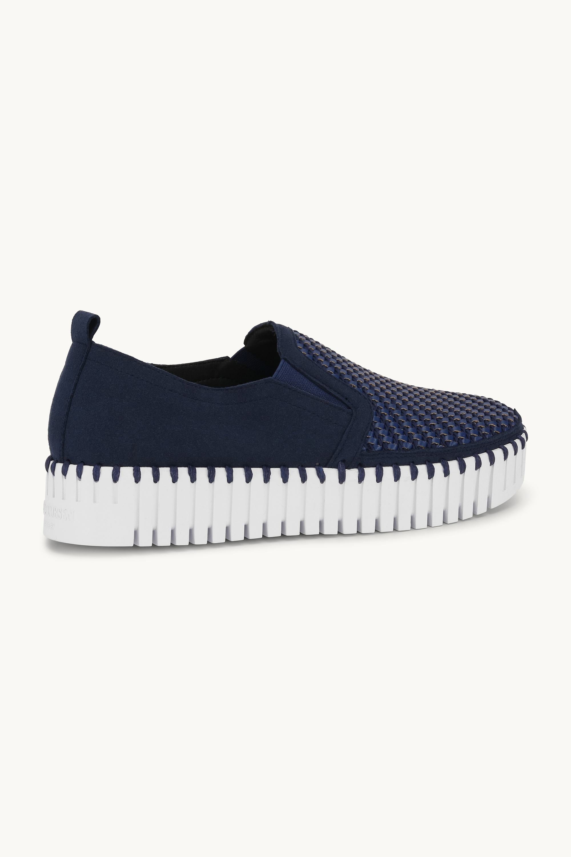 Tulip Platåsko - Dark Indigo White