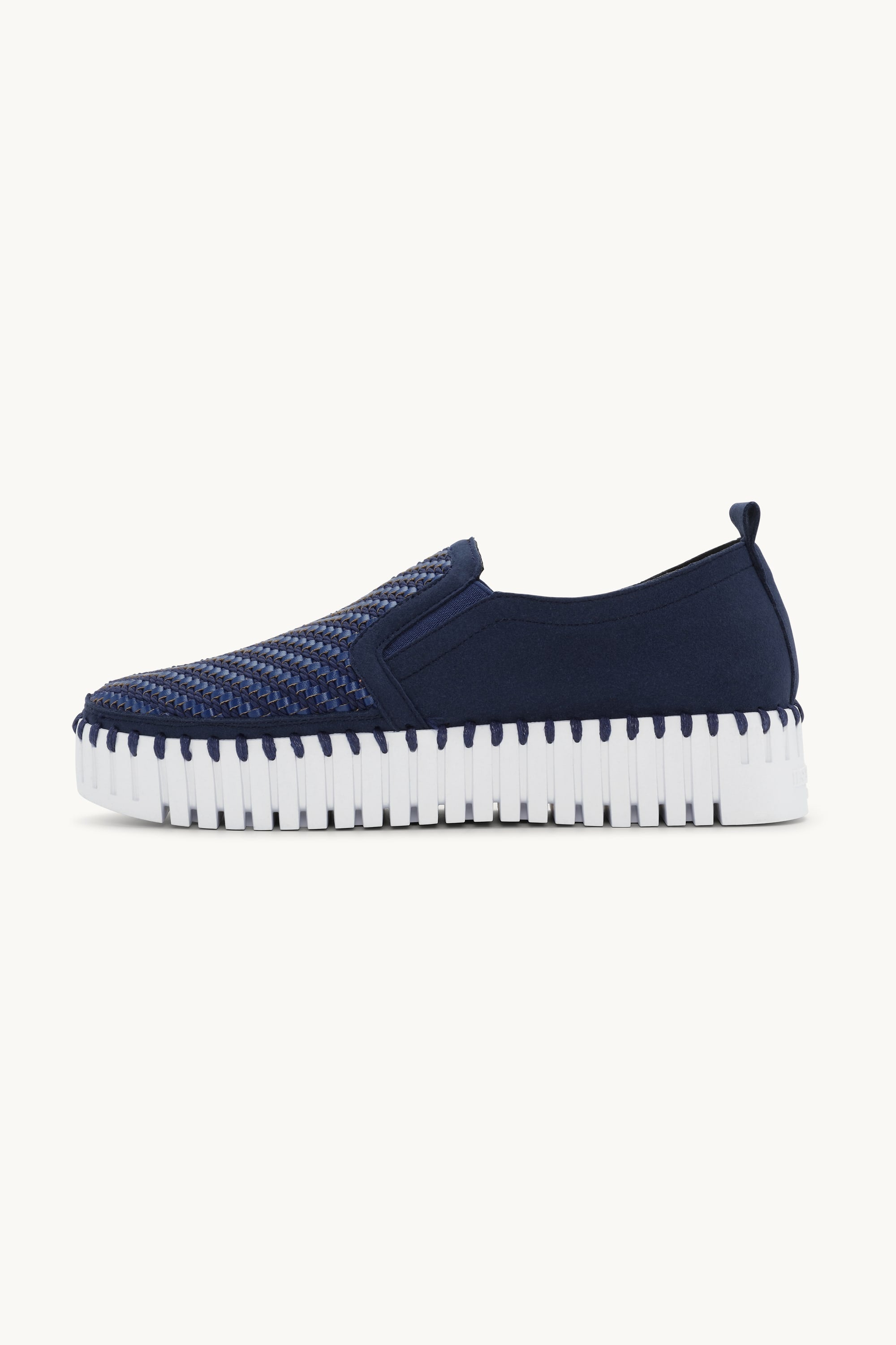 Tulip Platåsko - Dark Indigo White